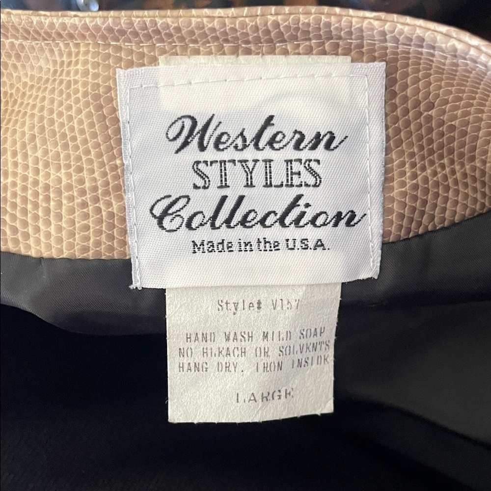 Western pleasure show vest and hobby horse under shirt - Picture 3 of 4